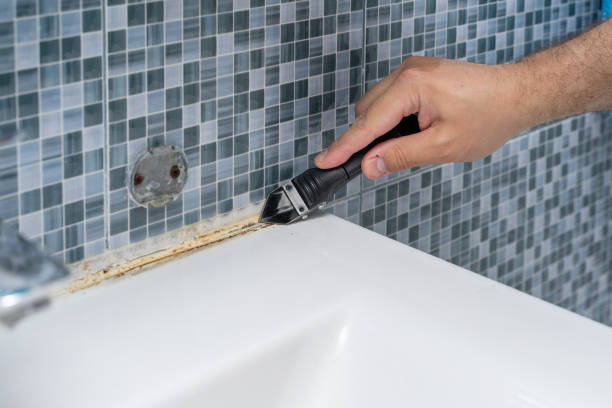 Best Black Mold Removal  in Viera West, FL