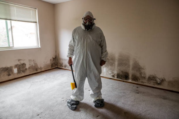 Certified Mold Removal in Viera West, FL